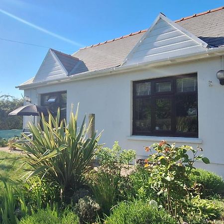 Bed and Breakfast Y Cuddfan Gower Swansea Zewnętrze zdjęcie