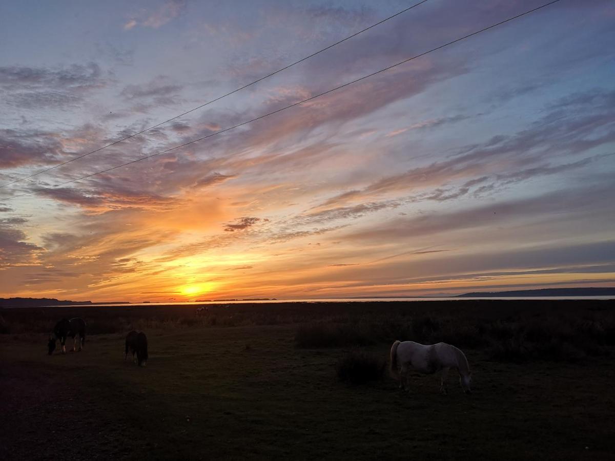 Bed and Breakfast Y Cuddfan Gower Swansea Zewnętrze zdjęcie