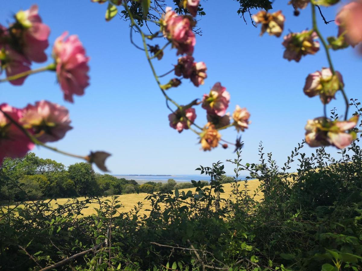 Bed and Breakfast Y Cuddfan Gower Swansea Zewnętrze zdjęcie