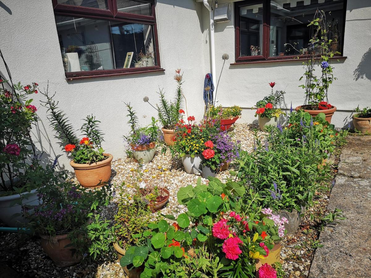 Bed and Breakfast Y Cuddfan Gower Swansea Zewnętrze zdjęcie